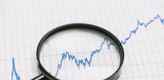 Jak wyglądają dane na temat firm na Dolnym Śląsku i woj. opolskim?