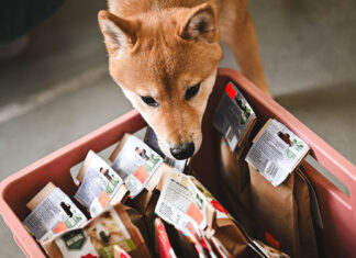Targi dla Zwierzaka w Hali Świebodzki we Wrocławiu