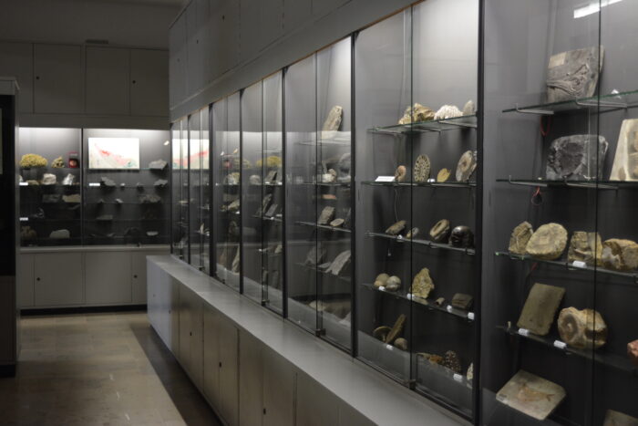 Na zdjęciu wnętrze Muzeum Geologicznego we Wrocławiu /Stowrzyszenie Muzeów Uczelnianych