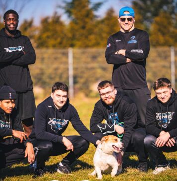 Znajdź PSYjaciela w schronisku TOZ – wystawa zdjęć piesków do adopcji w Pasażu Grunwaldzkim