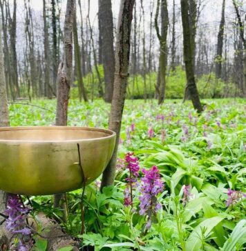 Podaruj sobie czas dla siebie – wyjątkowy koncert relaksacyjny