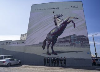 We Wrocławiu powstał nowy mural. Piękny koń na wrocławskich Partynicach