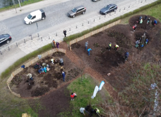 Pierwszy las kieszonkowy w centrum Wrocławia już posadzony!