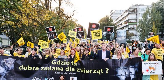 Dzień Bez Futra we Wrocławiu