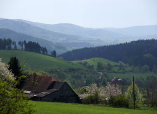 Z Wrocławia w Góry Sowie pojedziemy pociągiem