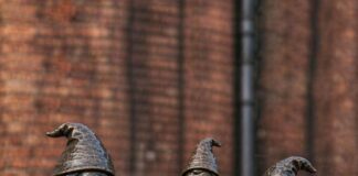 We Wrocławiu powstanie krasnal Cancer Fighters