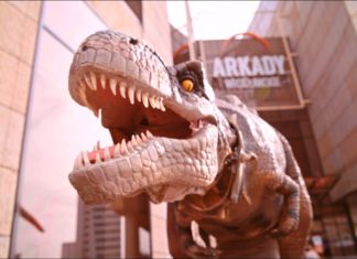 Festiwal Archeologii i Dinozaurów w Arkadach Wrocławskich