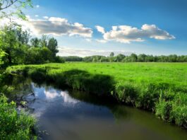 Tęsknisz za wiosną? Poczujesz ją w Dolinie Baryczy
