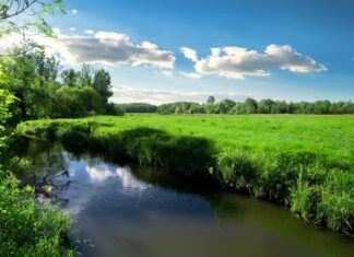 Tęsknisz za wiosną? Poczujesz ją w Dolinie Baryczy