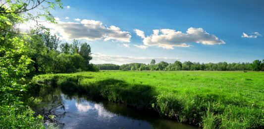 Tęsknisz za wiosną? Poczujesz ją w Dolinie Baryczy
