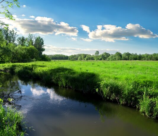 Tęsknisz za wiosną? Poczujesz ją w Dolinie Baryczy