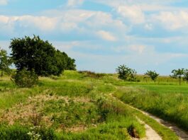 Dolny Śląsk na wakacje: Urokliwy Kuraszków na Wzgórzach Trzebnickich