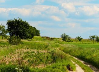 Dolny Śląsk na wakacje: Urokliwy Kuraszków na Wzgórzach Trzebnickich