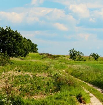 Dolny Śląsk na wakacje: Urokliwy Kuraszków na Wzgórzach Trzebnickich