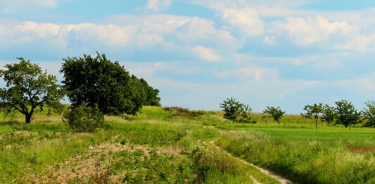 Dolny Śląsk na wakacje: Urokliwy Kuraszków na Wzgórzach Trzebnickich