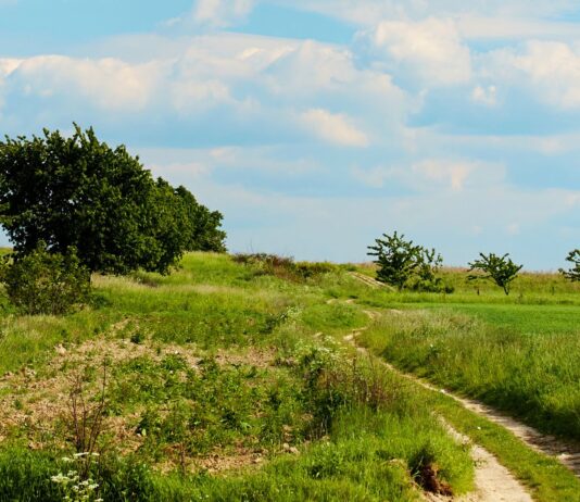 Dolny Śląsk na wakacje: Urokliwy Kuraszków na Wzgórzach Trzebnickich
