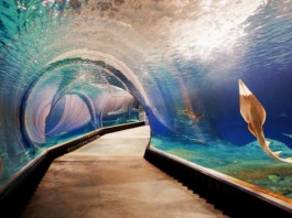 Wrocław: Nocleg blisko ZOO. Jaki hotel lub apartament wybrać? Zoo Wrocław