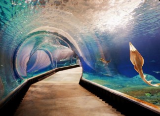 Wrocław: Nocleg blisko ZOO. Jaki hotel lub apartament wybrać? Zoo Wrocław