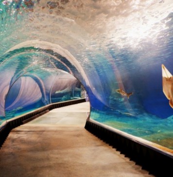 Wrocław: Nocleg blisko ZOO. Jaki hotel lub apartament wybrać? Zoo Wrocław