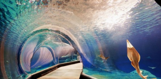 Wrocław: Nocleg blisko ZOO. Jaki hotel lub apartament wybrać? Zoo Wrocław