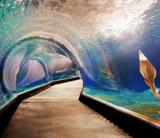 Wrocław: Nocleg blisko ZOO. Jaki hotel lub apartament wybrać? Zoo Wrocław