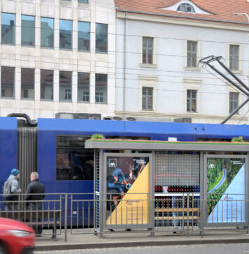 Pierwszy samowystarczalny zielony przystanek we Wrocławiu! Tej miejskiej zieleni nie trzeba podlewać