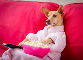 10 najciekawszych seriali, które musisz zobaczyć. #Zostań w domu!