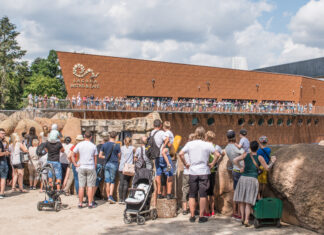 Ponad 218 tysięcy odwiedzających – tłumy we Wrocławiu podczas sierpniowego weekendu