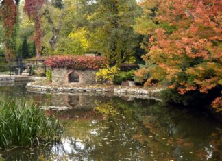 Arboretum Wojsławice – jedno z najpiękniejszych miejsc do odwiedzenia jesienią na Dolnym Śląsku