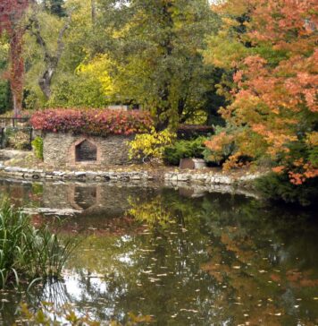 Arboretum Wojsławice – jedno z najpiękniejszych miejsc do odwiedzenia jesienią na Dolnym Śląsku