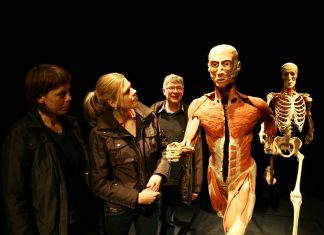 Anatomiczna Wystawa BODY WORLDS – VITAL we Wrocławiu już otwarta!