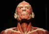 BODY WORLDS we Wrocławiu – To wystawa o życiu i zdrowiu, którą trzeba zobaczyć!