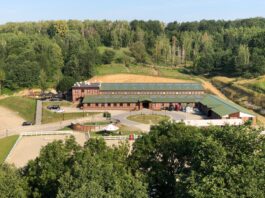 Wierzbna – ukryta perełka zaledwie 50 km od Wrocławia