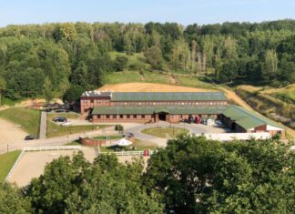 Wierzbna – ukryta perełka zaledwie 50 km od Wrocławia