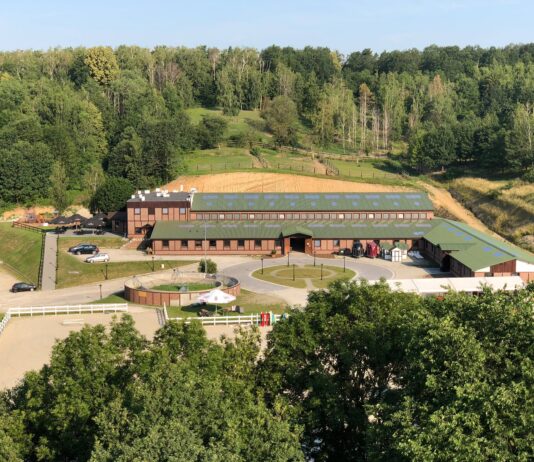 Wierzbna – ukryta perełka zaledwie 50 km od Wrocławia