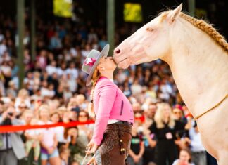 Wielka Wrocławska. Nagroda Prezydenta Wrocławia – niedziela 3 września na Partynicach