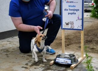 Inicjatywa Psie Pętle powraca – MPK Wrocław zapewni wodę zwierzętom