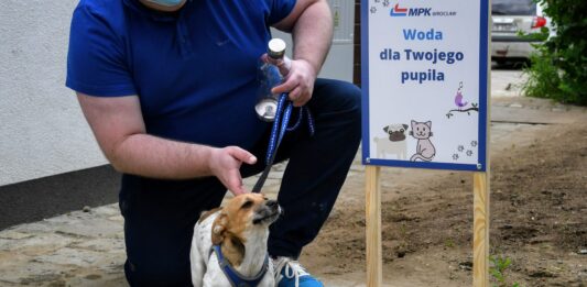 Inicjatywa Psie Pętle powraca – MPK Wrocław zapewni wodę zwierzętom