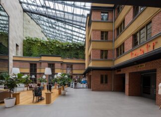 Dlaczego wrocławski Teatr Muzyczny Capitol jest taki popularny? Kulisy sławy Teatr Muzyczny "Capitol"