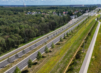 Kolejne drzewa zazielenią arterie komunikacyjne!