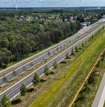 Kolejne drzewa zazielenią arterie komunikacyjne!