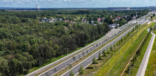 Kolejne drzewa zazielenią arterie komunikacyjne!