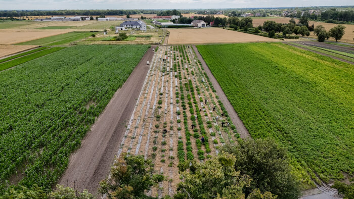 Na zdjęciu Miejska Farma z lotu ptaka