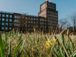 Muzeum Poczty i Telekomunikacji we Wrocławiu – mało doceniana wrocławska atrakcja, którą warto odwiedzić!