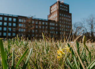 Muzeum Poczty i Telekomunikacji we Wrocławiu – mało doceniana wrocławska atrakcja, którą warto odwiedzić!