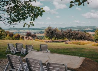Bajkowy ogród: Arboretum Uniwersytetu Wrocławskiego zaprasza na ostatnie dni wakacji!