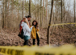 Las Zbrodni, Misja Sobótka i Jednodniowe Szaleństwo – odkryj najlepsze gry terenowe we Wrocławiu i okolicach