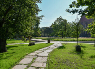 Zobacz jak wygląda Skwer Wrocławianek. Nowa zielona przestrzeń w mieście