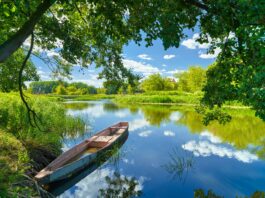 To już końcówka wakacji. Wykorzystaj je na maksa w przepięknej Dolinie Baryczy Dolina Baryczy