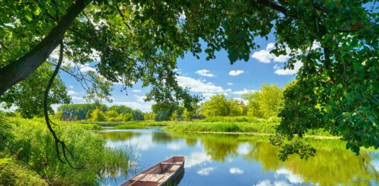 To już końcówka wakacji. Wykorzystaj je na maksa w przepięknej Dolinie Baryczy Dolina Baryczy